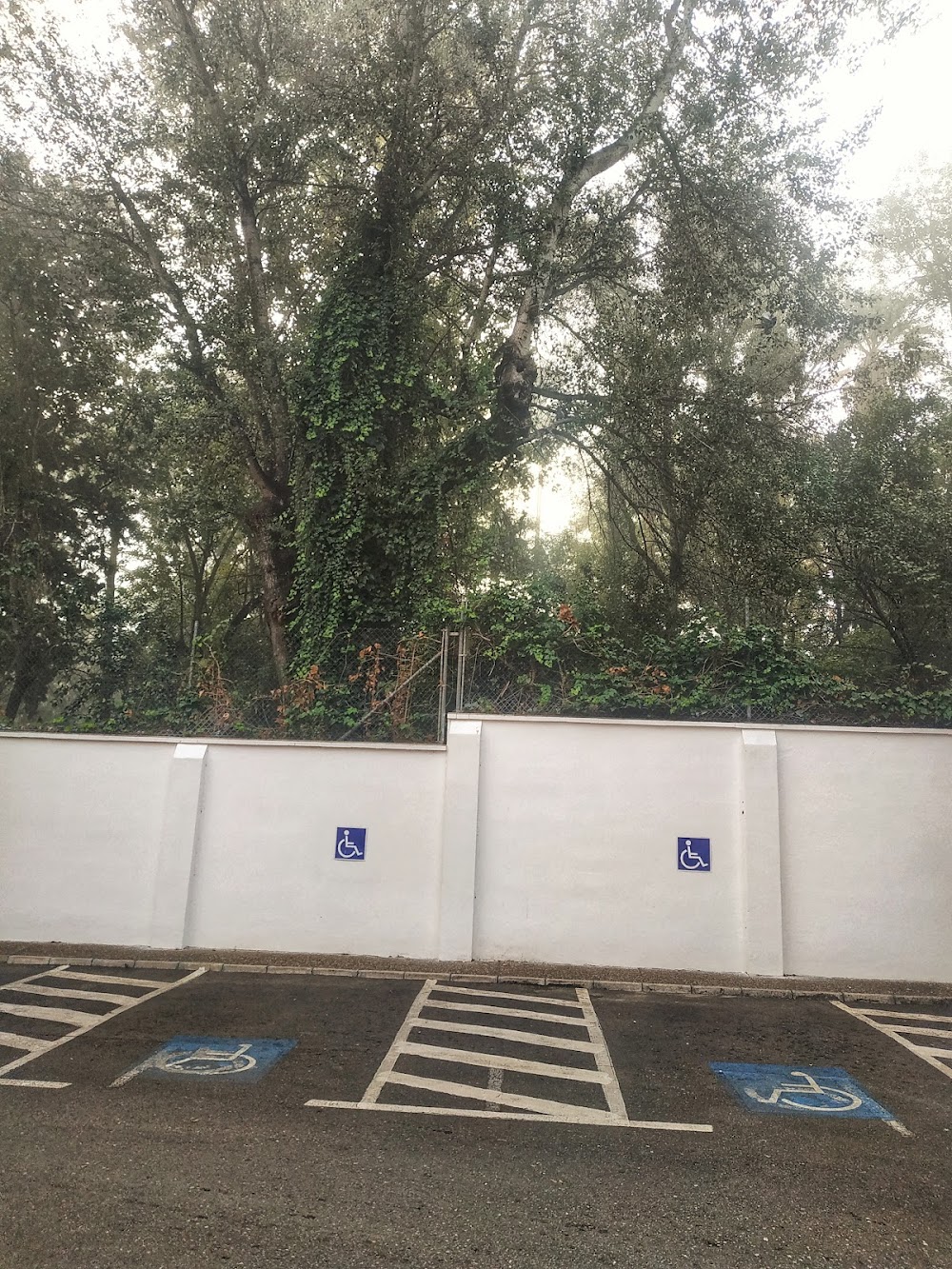 CENTRO DE DÍA PARA MAYORES SAN JUAN GRANDE — residencia de mayores en Jerez de la Frontera (foto 2)