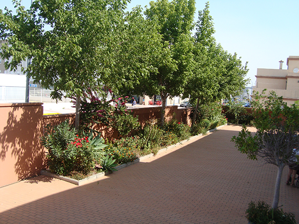 CENTRO DE DÍA PARA MAYORES ENFERMOS DE ALZHEIMER DOLORES CASTAÑEDA — residencia de mayores en San Fernando (foto 1)