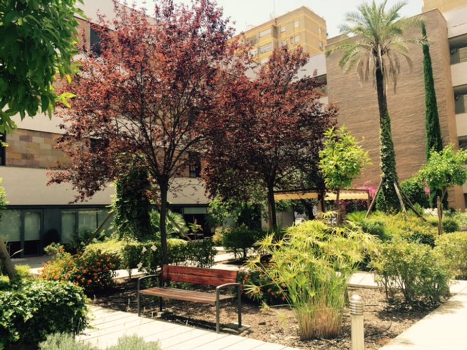CENTRO DE DÍA PARA MAYORES DOMUSVI SANTA JUSTA — residencia de mayores en Sevilla (foto 2)