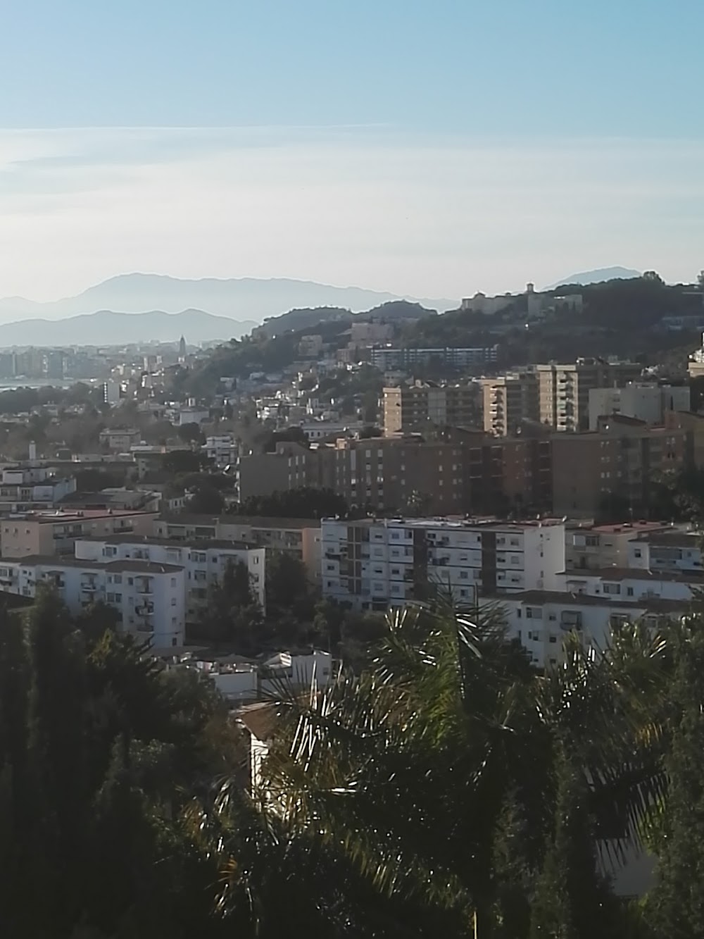 CENTRO DE DÍA PARA MAYORES ELITE — residencia de mayores en Málaga (foto 3)