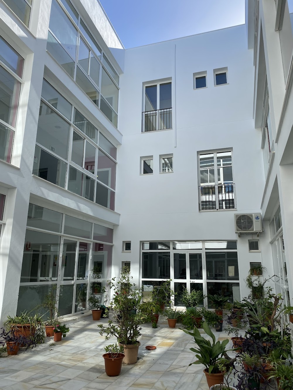 CENTRO DE DÍA PARA MAYORES MUNICIPAL CASTILLEJA DE LA CUESTA — residencia de mayores en Castilleja de la Cuesta (foto 3)