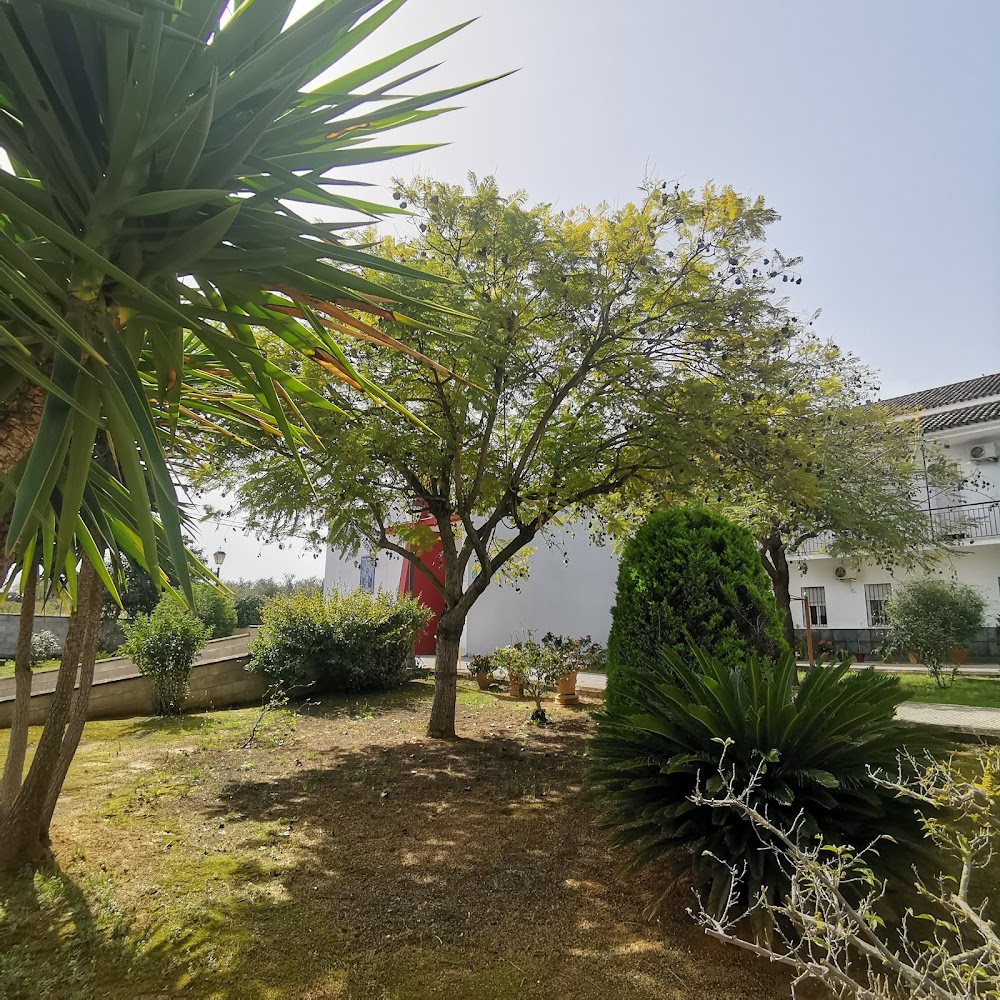 CENTRO RESIDENCIAL PARA MAYORES NUESTRA SEÑORA DE LA SOLEDAD Y SAN JOSÉ — residencia de mayores en Coria del Río (foto 2)