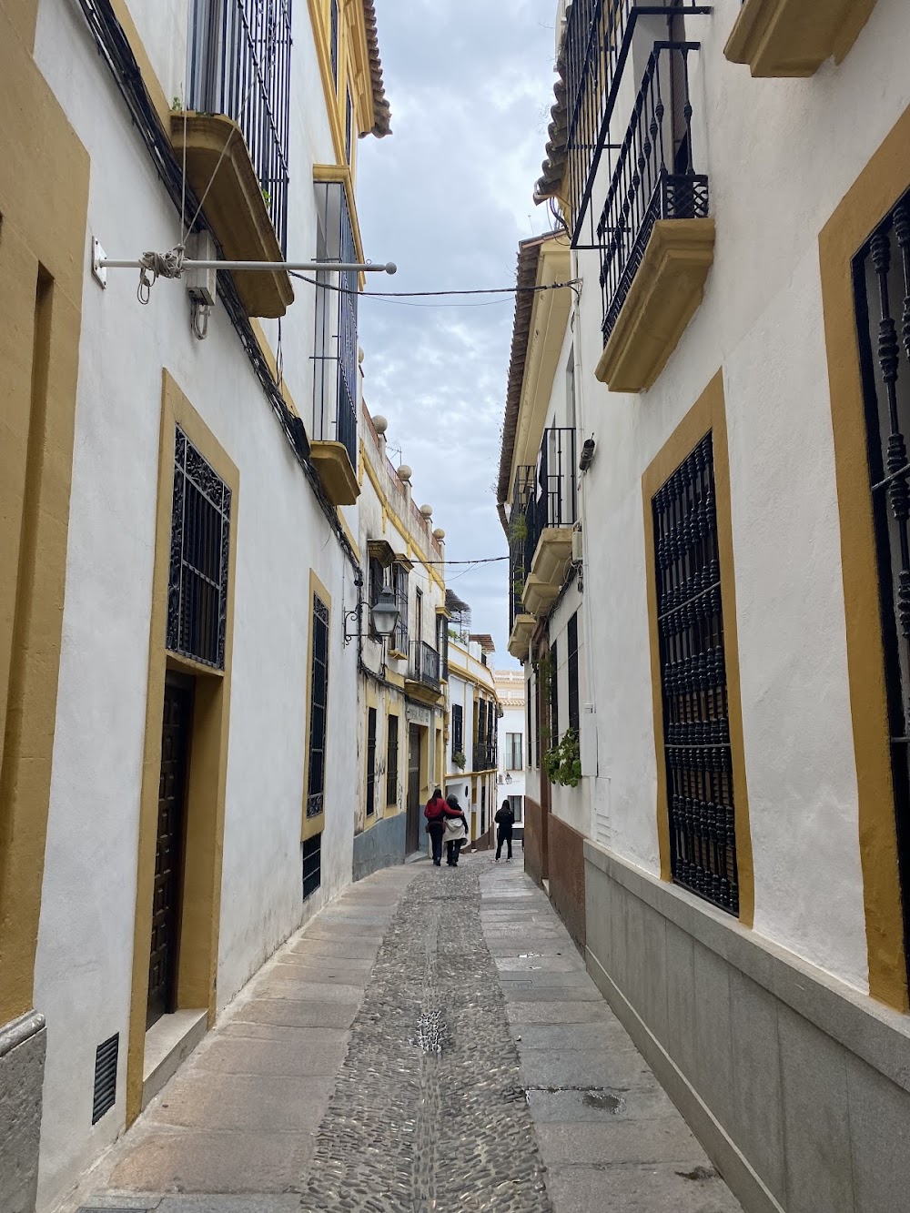 CENTRO RESIDENCIAL PARA MAYORES SANTA MARIA — residencia de mayores en Córdoba (foto 2)
