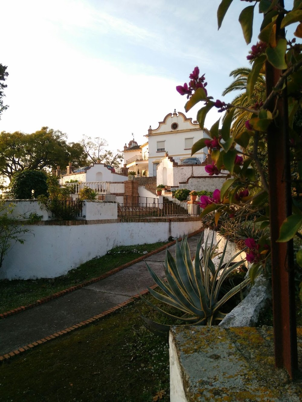 CENTRO RESIDENCIAL MONSALVE — residencia de mayores en Málaga (foto 3)