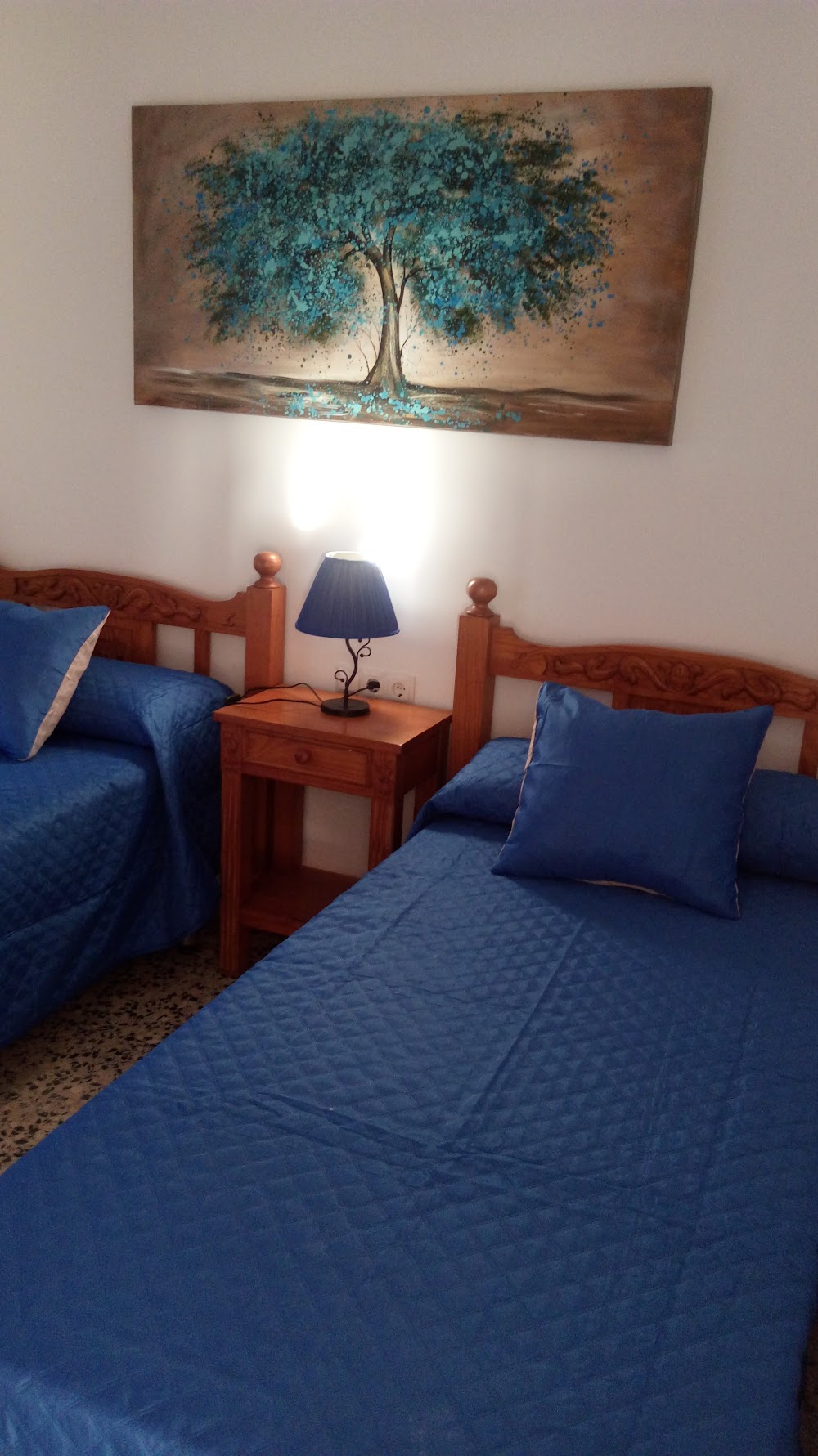 RESIDENCIA DE LA TERCERA EDAD DOÑA EMILIA — residencia de mayores en Málaga (foto 1)