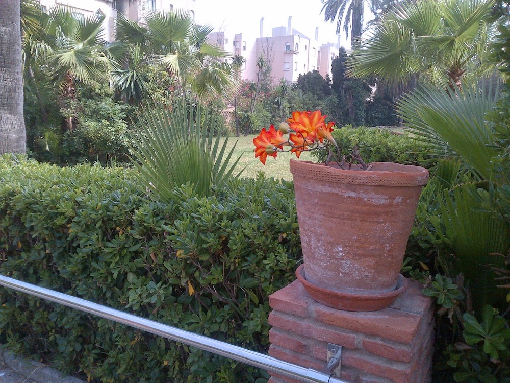 RESIDENCIA DE TERCERA EDAD GUADALMAR — residencia de mayores en Málaga (foto 2)