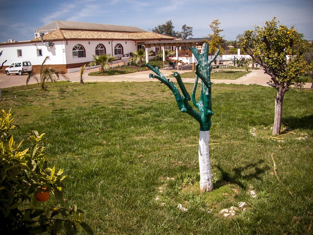 CENTRO RESIDENCIAL PARA MAYORES EL PILAR — residencia de mayores en Carmona (foto 1)