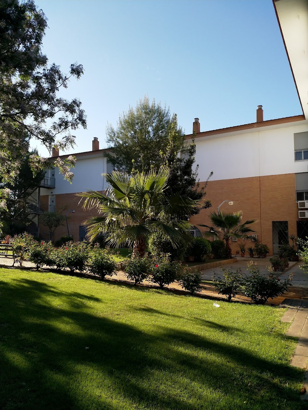 CENTRO RESIDENCIAL PARA MAYORES SAN RAFAEL — residencia de mayores en Dos Hermanas (foto 3)