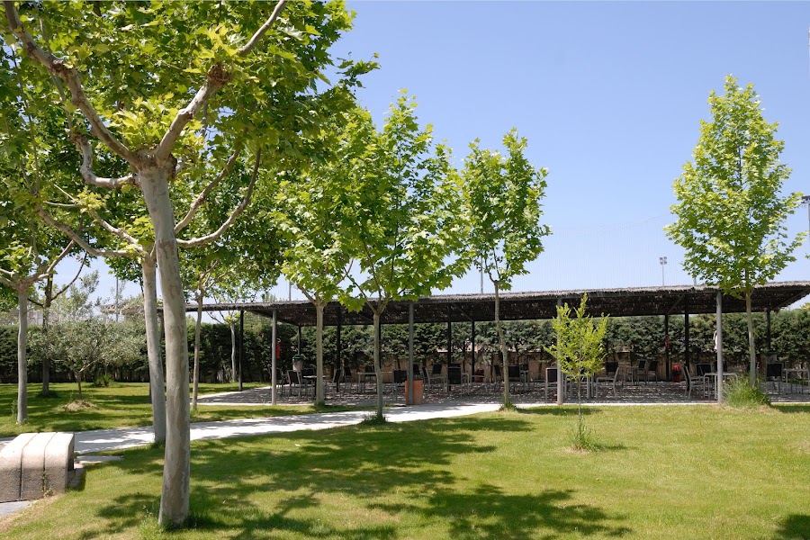 COLISEE VILLANUEVA DEL PARDILLO. CENTRO DE DÍA PERSONAS MAYORES — residencia de mayores en Suroeste (foto 2)