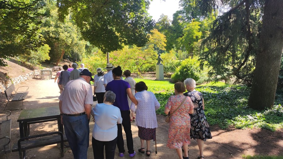 CENTRO DE DIA PARA MAYORES EL BOSQUE — residencia de mayores en Salamanca (foto 5)