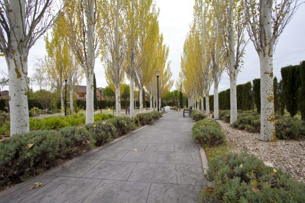 BOUCO PUNTA GALEA, RESIDENCIA DE PERSONAS MAYORES — residencia de mayores en Noroeste (foto 2)