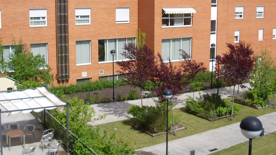 AMAVIR CIUDAD LINEAL, CENTRO DE DIA (PLAN VELOCIDAD) — residencia de mayores en Ciudad Lineal (foto 5)