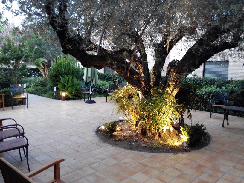 RESIDENCIA LA PINARILLA — residencia de mayores en Suroeste (foto 3)