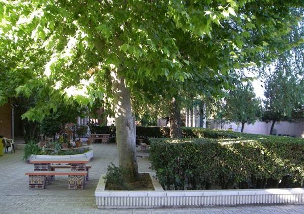 LA TORRE, RESIDENCIA DE PERSONAS MAYORES — residencia de mayores en Sureste (foto 3)