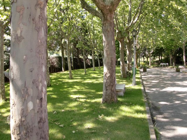 SANTA MARAVILLAS, RESIDENCIA DE PERSONAS MAYORES — residencia de mayores en Noroeste (foto 4)