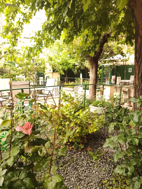 MARIA INMACULADA, RESIDENCIA GERIATRICA — residencia de mayores en Chamartín (foto 6)