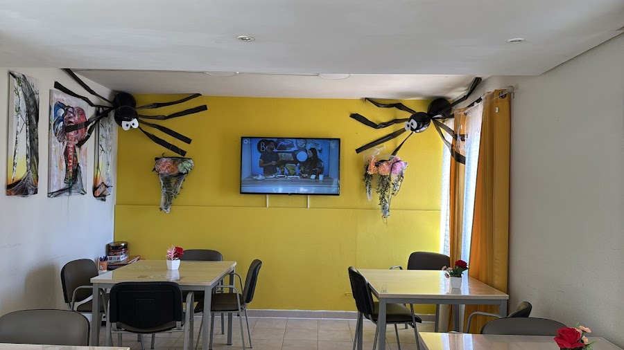 LA VEREDA DEL SOL — residencia de mayores en Hortaleza (foto 4)