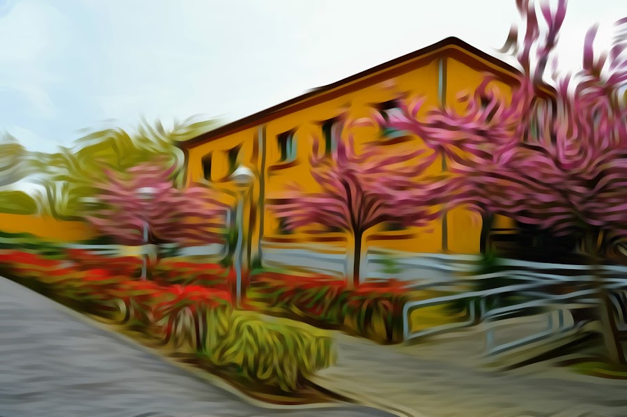 AYUNTAMIENTO DE MADRID VICALVARO, CENTRO DE DIA — residencia de mayores en Vicálvaro (foto 1)