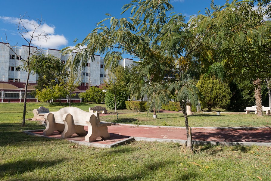 CENTRO DE MAYORES CASABLANCA VALDESUR — residencia de mayores en Sureste (foto 5)