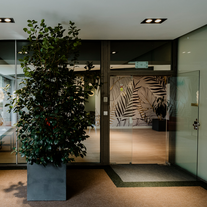 MIT CENTRO DE DIA — residencia de mayores en Moncloa-Aravaca (foto 5)