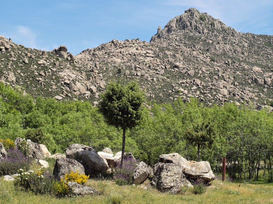 CENTRO DE DIA AYUNTAMIENTO DE VALDEMANCO — residencia de mayores en Sierra (foto 1)